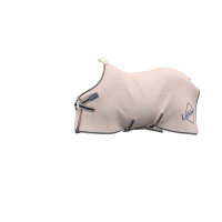 Camisa secante de bambu Kudos LeMieux Água