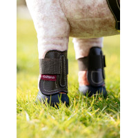 Guêtres Capella LeMieux Toy Pony Castanho