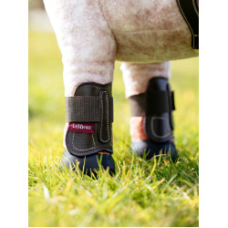 Guêtres Capella LeMieux Toy Pony Castanho