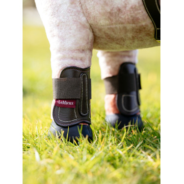 Guêtres Capella LeMieux Toy Pony Castanho