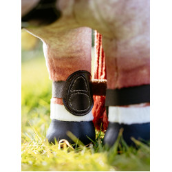 Guêtres Capella LeMieux Toy Pony Castanho