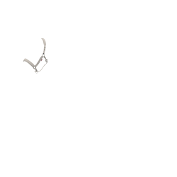 Licol LeMieux Essence Pedra Cinzento Licol LeMieux Essence Pedra Cinzento