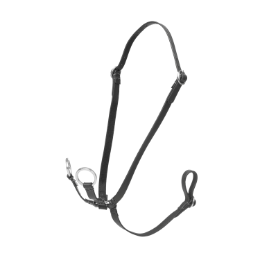 Martingale com anéis Hobby Horse LeMieux