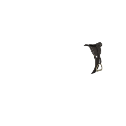 Selle de CSO avec sangle bavette LeMieux Toy Pony Castanho