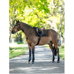 Tapis de selle Pillow LeMieux Castanho