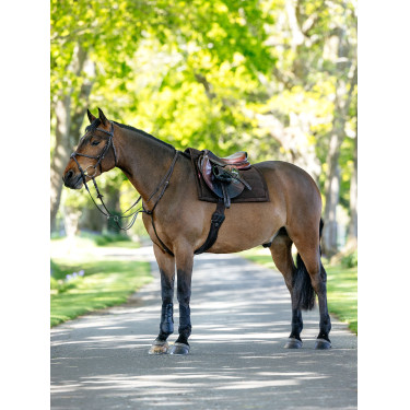 Tapis de selle Pillow LeMieux Castanho