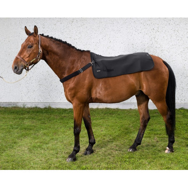Aquecedor de Costas Collier Back On Track Aquecedor de Costas Collier Back On Track