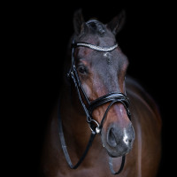 Bridão com focinheira inglesa Imperial Riding Preto / preto