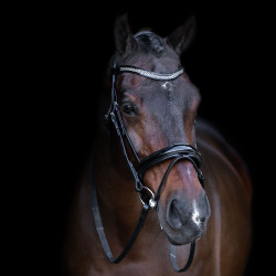 Bridão com focinheira inglesa Imperial Riding Preto / cristal