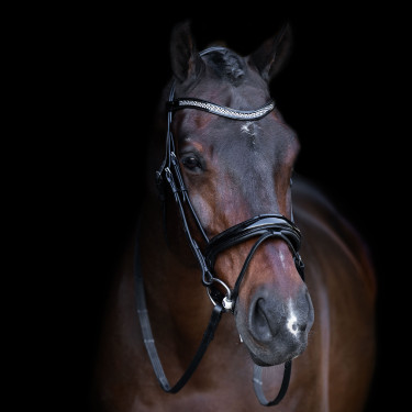 Bridão com focinheira inglesa Imperial Riding Preto / cristal