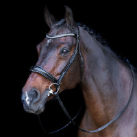 Bridão com focinheira inglesa Imperial Riding Preto / cristal Bridão com focinheira inglesa Imperial Riding Preto / cristal