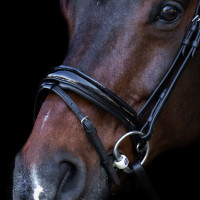 Bridão com focinheira inglesa Imperial Riding Preto / preto