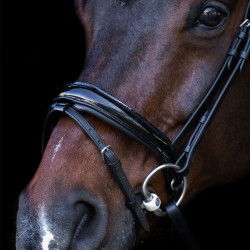 Bridão com focinheira inglesa Imperial Riding Preto / cristal