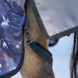 Capa anti-moscas e chuva Imperial Riding Super-dry AOP Pó de fada cinza AOP Motivos Capa anti-moscas e chuva Imperial Riding Super-dry AOP Pó de fada cinza AOP Motivos