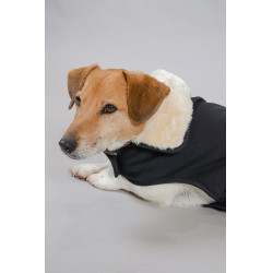 Capa para Cão Harcour River
