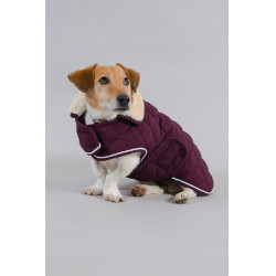 Capa para Cão Harcour Rocket
