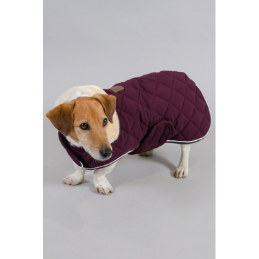 Capa para Cão Harcour Rocket Violeta