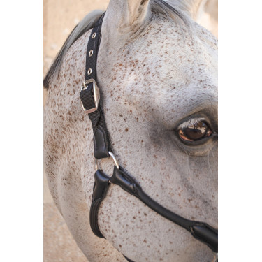 Cabeção Harcour Honey Preto