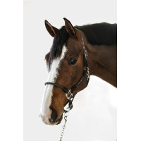 Cabeção Harcour Honey Cinza escuro Cinzento