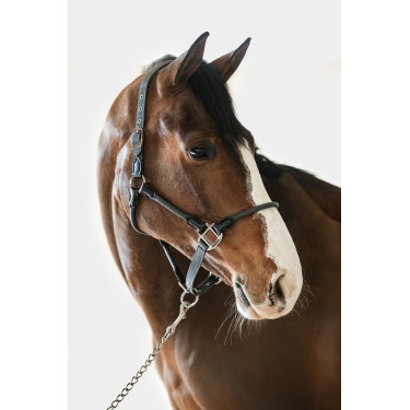 Cabeção Harcour Honey Cinza escuro Cinzento