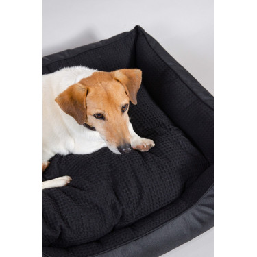 Cama para Cão Harcour Baline Preto