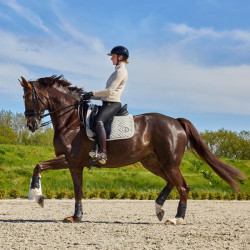 Almofada de sela Kingsland KLNexus adestramento tecido misto Mistura de paralelepípedos Multicolor