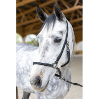 Cabresto de grooming ProConfort Dialou Preto Cabresto de grooming ProConfort Dialou Preto