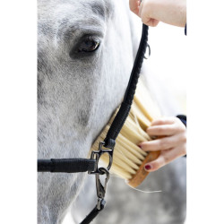 Cabresto de grooming ProConfort Dialou Preto