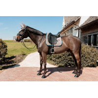 Sela Kentucky Pied-de-Poule Bordéus Bordô Sela Kentucky Pied-de-Poule Bordéus Bordô