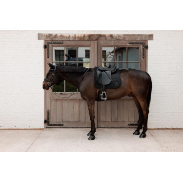 Sela Kentucky Sparkling Dressage Sela Kentucky Sparkling Dressage