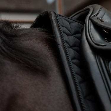 Sela Kentucky Sparkling Dressage Sela Kentucky Sparkling Dressage