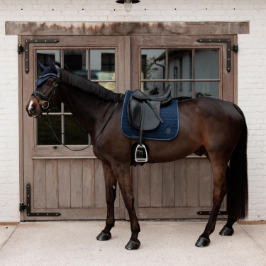 Sela Kentucky Sparkling Dressage Sela Kentucky Sparkling Dressage