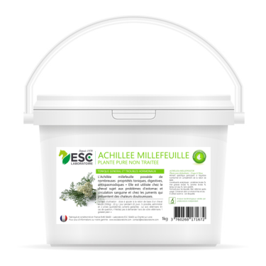 Mil-folhas ESC Laboratoire Mil-folhas ESC Laboratoire