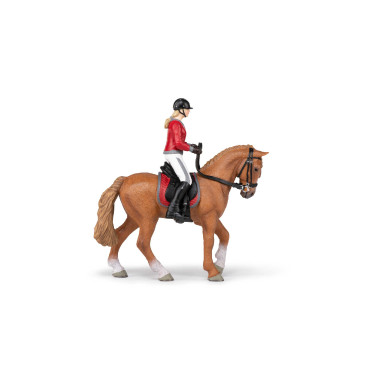 Cavalo de passeio e sua amazona Papo