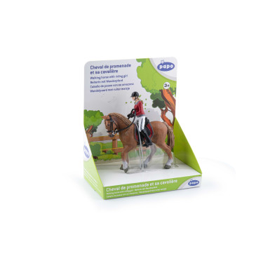 Cavalo de passeio e sua amazona Papo