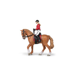 Cavalo de passeio e sua amazona Papo