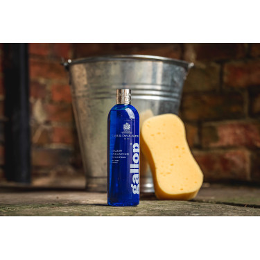 Shampoo Gallop® Carr & Day & Martin Cinza Shampoo Gallop® Carr & Day & Martin Cinza