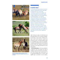 Comportamentos e posturas Comportamentos e posturas