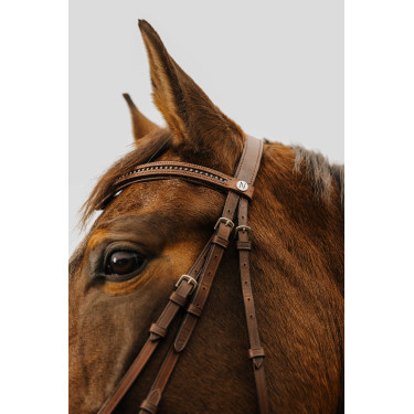 Bridon Norton Club Strass V Havana Castanho