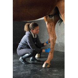 Argila rosa Pénélope Terra Clay