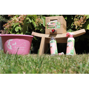Easy Shine Ravene Eco-Recarga Easy Shine Ravene Eco-Recarga