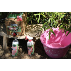 Easy Shine Ravene Eco-Recarga