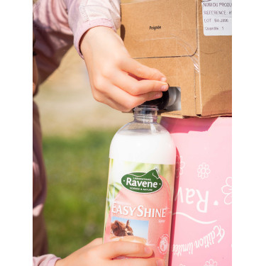 Easy Shine Ravene Eco-Recarga Easy Shine Ravene Eco-Recarga