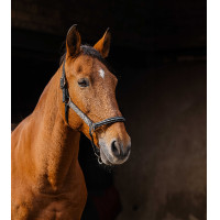 Cabresto de nylon Equithème Domino Cinzento Cabresto de nylon Equithème Domino Cinzento