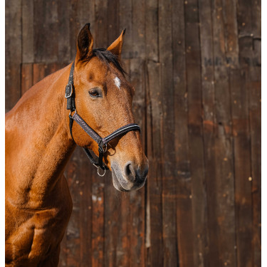 Cabresto de nylon Equithème Domino Cobre Castanho