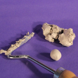 Artimud Rood Paard Artimud Rood Paard