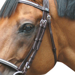 Bridão Deauville Combinado Privilégio Equitação Bridão Deauville Combinado Privilégio Equitação