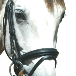 Bridon Pull Back Le Touquet Privilégio Equitação