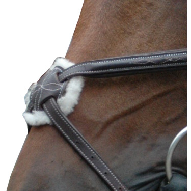 Bridão Royan Cruzado Privilégio Equitação