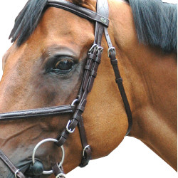 Bridão Royan Cruzado Privilégio Equitação